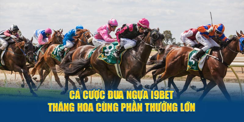 Cá Cược Đua Ngựa i9bet