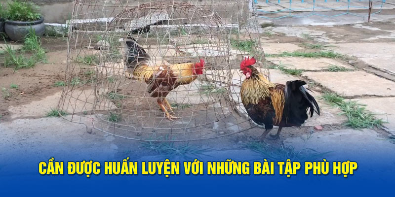 Cần được huấn luyện với những bài tập phù hợp