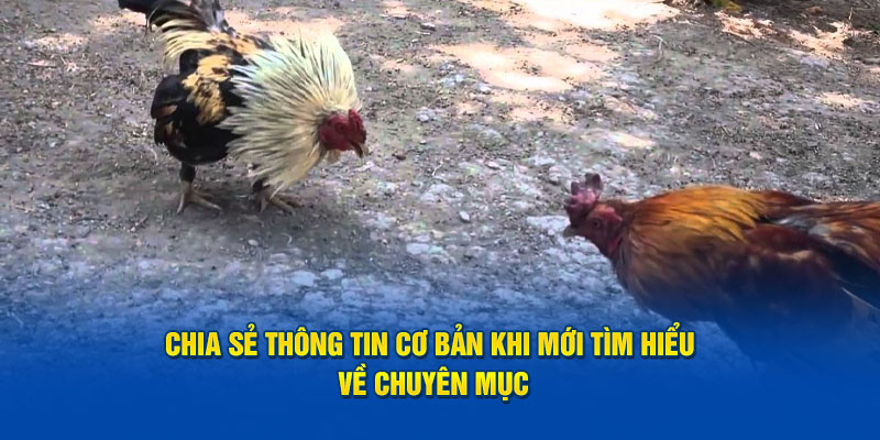 Chia sẻ thông tin cơ bản khi mới tìm hiểu về chuyên mục