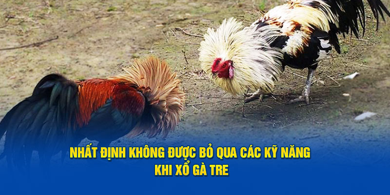 Nhất định không được bỏ qua các kỹ năng khi xổ gà tre