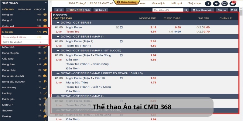 Thể Thao CMD 368 Ảo