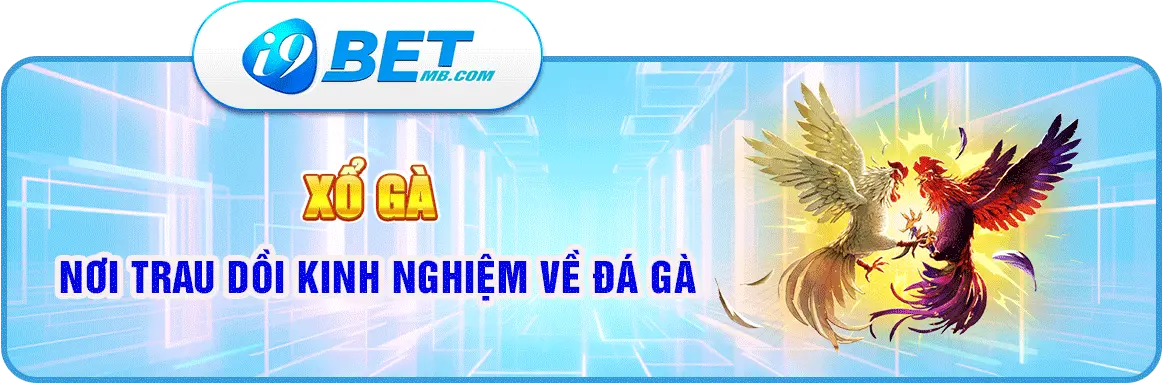 chuyên mục xổ gà i9bet